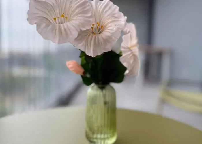 T2 Vue Pompidou Balcon, Sport & Centre Muse Metz